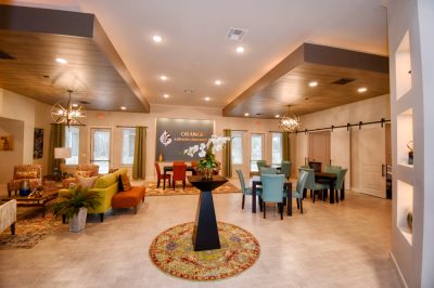SilverLeaf at Orange